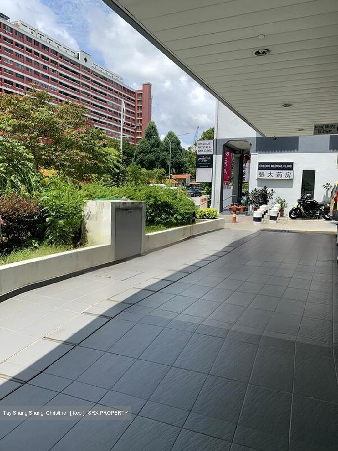 Suites @ Bukit Timah (D21), Shop House #577031261